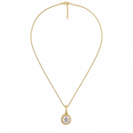 Colar Folheado a Ouro 18k e Prata Circulo Cravejado P