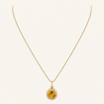 Colar Folheado a Ouro 18k e Prata Circulo Cravejado G