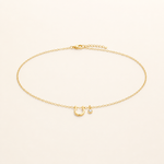 Choker Folheado a Ouro 18k Ferradura e Ponto de Luz
