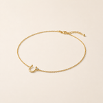 Choker Folheado a Ouro 18k Ferradura e Ponto de Luz